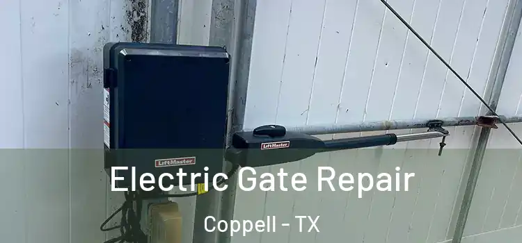  Electric Gate Repair Coppell - TX