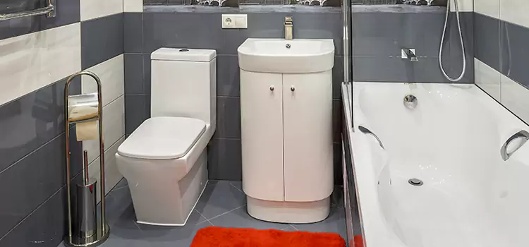Hansgrohe Shaving Mirror Coppell